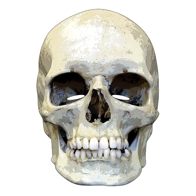 Skull Horror Face Mask