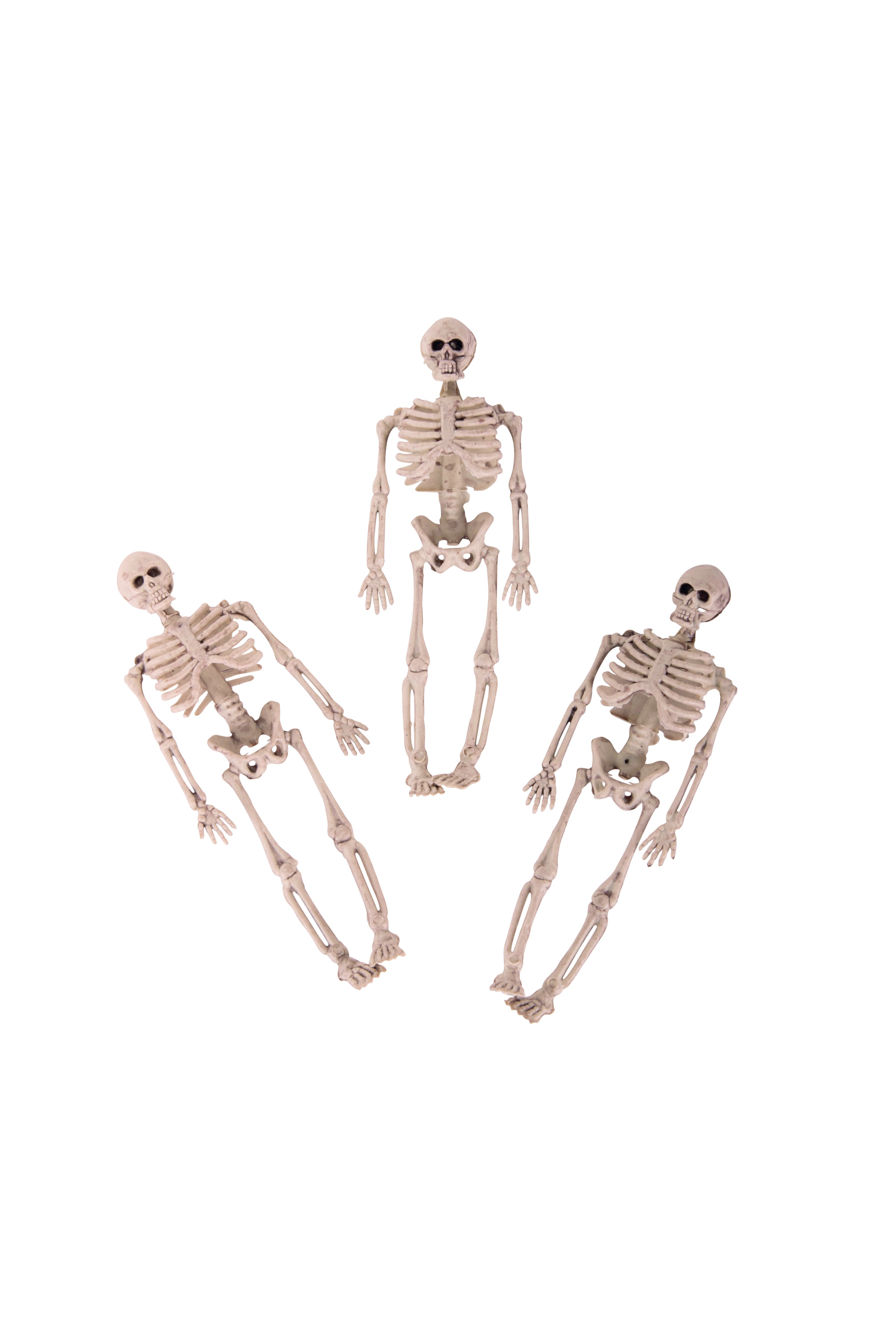 Skelette 15 cm, 3St. im Netz