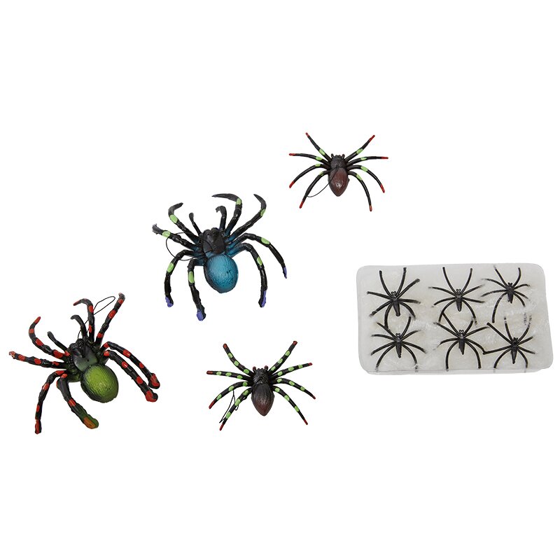 Spinnen (10 Stk. im Netz)