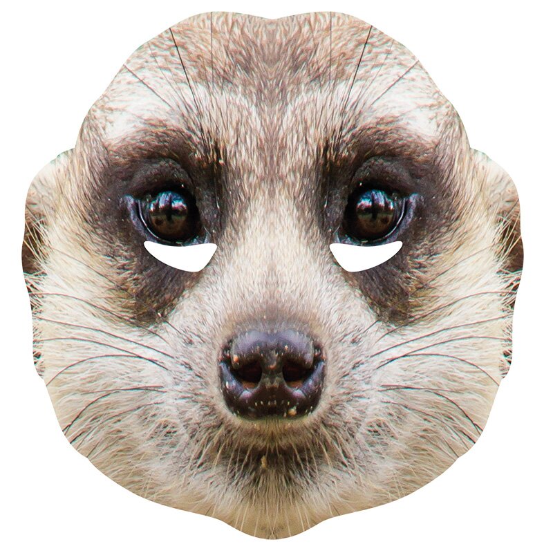 Meerkat Face Mask