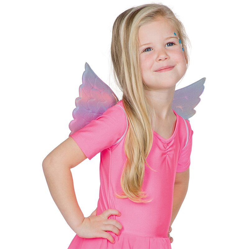 Pastel-colored wings, 44 x 23 cm